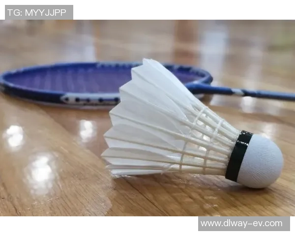 重庆羽毛球队防反体系解析：战术运用与实战技巧探讨