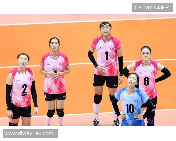 广州排球队的奋斗历程与荣耀之路：冠军赛特别报道